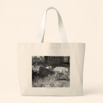 Woman bottle feeding an antelope. bags