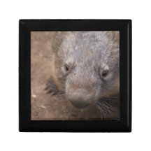 Wombat Kiss Keepsake Boxes