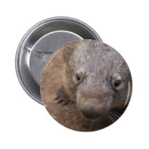 Wombat Kiss Pinback Button