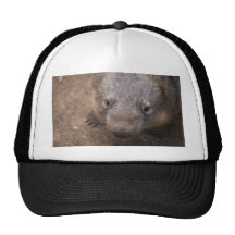 Wombat Kiss Trucker Hats