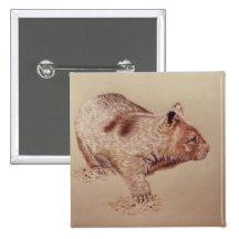 Wombat Pinback Button
