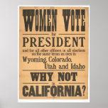 Women Vote Broadside (1873A) Poster