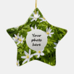 Wood Anemone Ornaments