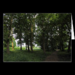 Wood, Bute Park Cardiff cards