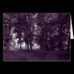 Wood, Bute Park Cardiff - Purple toned BW cards