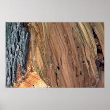 Wood texture print