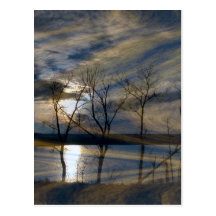 Woodeffect Post Cards