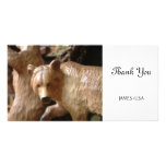 Wooden Bear from Black Forest Picture Card
