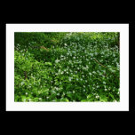 Woodland Flowers (Bordered) business cards