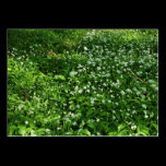 Woodland Flowers business cards