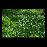 Woodland Flowers posters