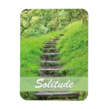 Woodland Path So Green Magnets