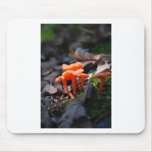 Woodland Umbrellas Mouse Mat