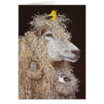 Wool Nesters card