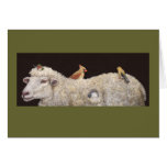 Wooly estates card