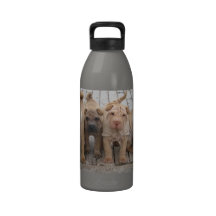 Wrinkles All Around Reusable Water Bottle