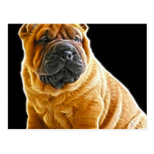 Wrinkles, The Chinese Shar Pei Puppy Dog Postcard