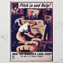 Wwii Pitch In Flyer