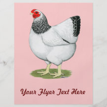 Wyandotte:  Columbian Hen Flyer Design