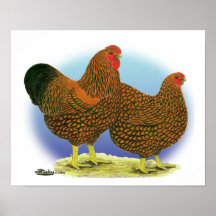 Wyandotte:  Golden-laced Pair Print