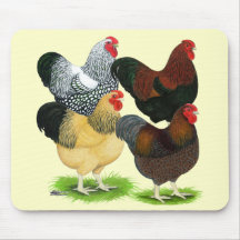 Wyandotte:  Rooster Assortment Mousepads