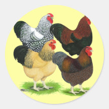 Wyandotte:  Rooster Assortment Round Stickers