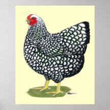 Wyandotte:  Silver-laced Hen Posters
