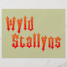 Wyld Stallyns Flyer Design