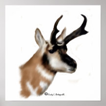 Wyoming Pronghorn Posters