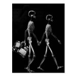 X-Ray Skeleton Couple Travelling Black White Post Cards