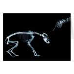 X-Ray Skeletons Blue Bad Dog Card