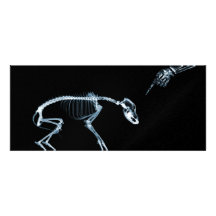 X-Ray Skeletons Blue Bad Dog Invites