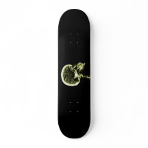 Collectible Skateboards