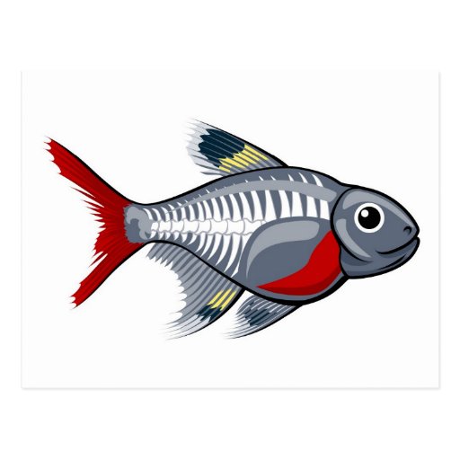 X-ray tetra cartoon fish postcard | Zazzle