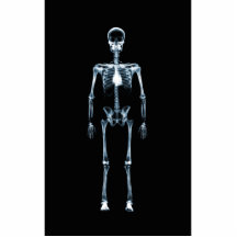 X-Ray Vision Blue Single Skeleton Photo Sculptures