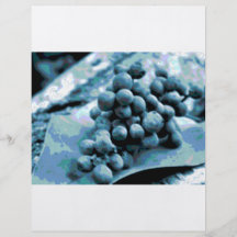 xcolorsgrapes flyer design