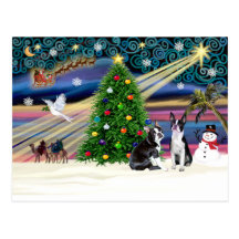 Xmas Magic-BostonTerrier Pair Post Cards