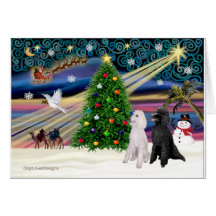 XMAS MAGIC-Poodle ST-Pair2 Card
