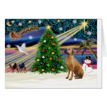 Xmas Magic-Rhodesian Ridgeback-lkup Cards