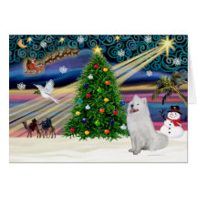Xmas Magic-Samoyed Greeting Card