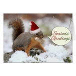 Xmas Squirrel in Snow Card