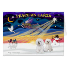 XmasSunrise-2 Bichon Frise Card