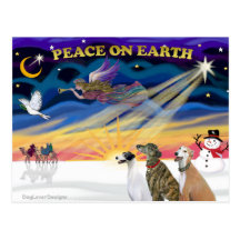 XmasSunrise-3 Greyhounds Post Card