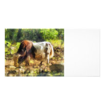 Yak Having a Snack Photo Card Template