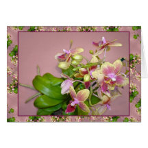 Yellow and Pink Orchid Birthday Card