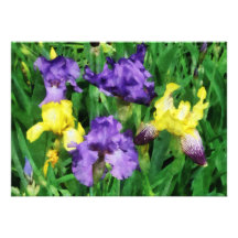 Yellow and Purple Irises Invite