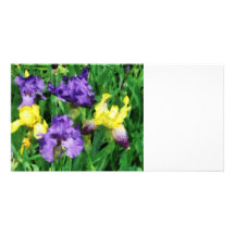 Yellow and Purple Irises Photo Card