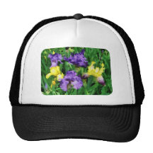 Yellow and Purple Irises Trucker Hat