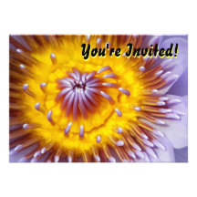Yellow and Purple Lily Flower Closeup Invitation