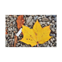 Yellow autumn leaf canvas prints